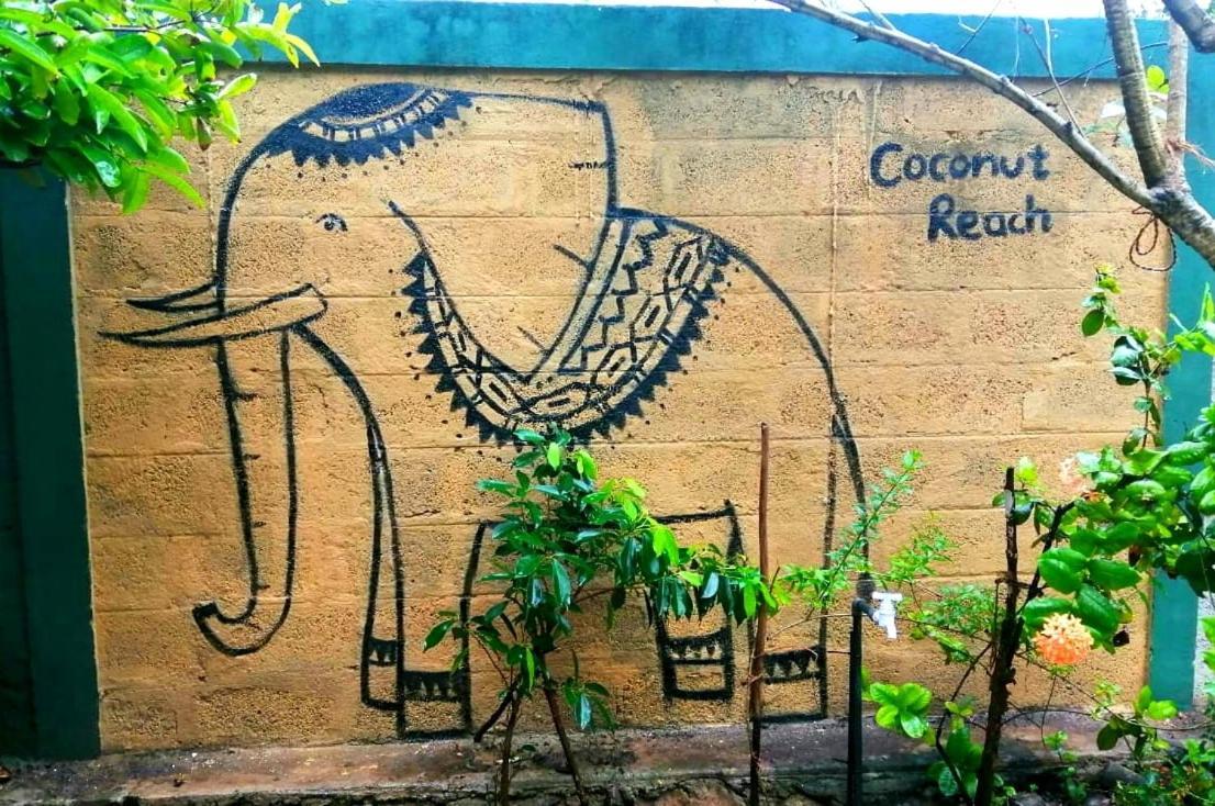 Coconut Reach Hotel Mirissa Ngoại thất bức ảnh