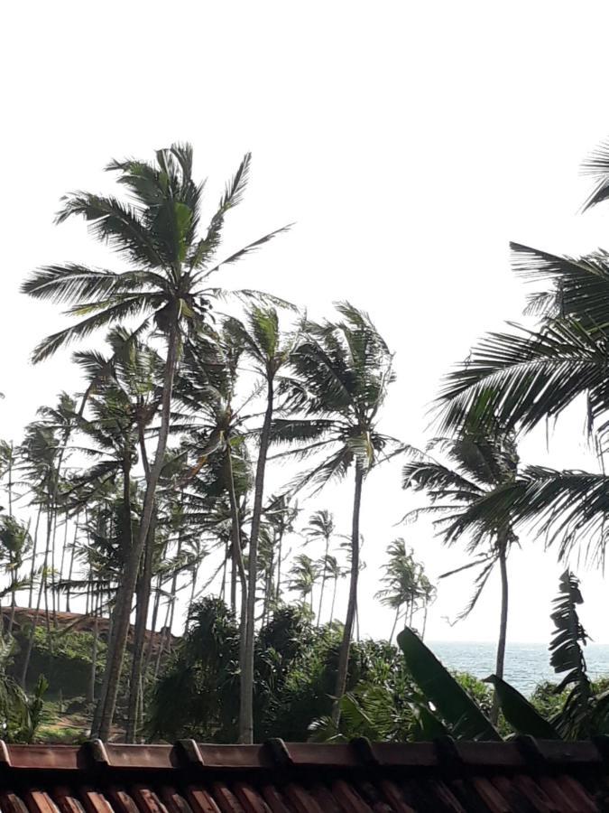 Coconut Reach Hotel Mirissa Ngoại thất bức ảnh