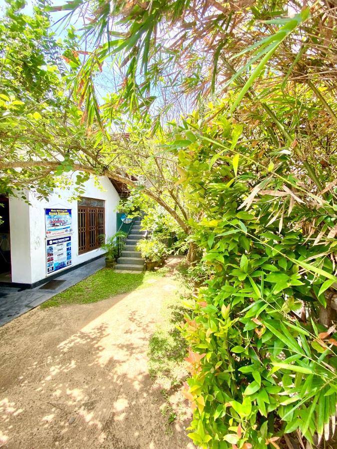 Coconut Reach Hotel Mirissa Ngoại thất bức ảnh