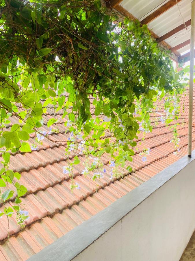 Coconut Reach Hotel Mirissa Phòng bức ảnh